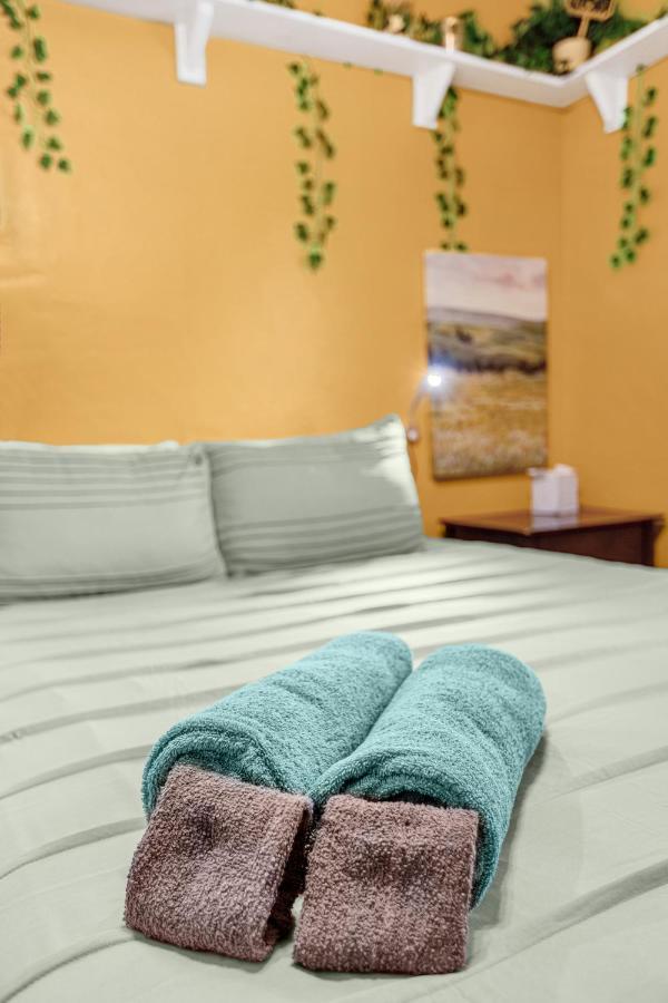 Orlando Oasis! Free Laundry & Parking Near Disney! Esterno foto